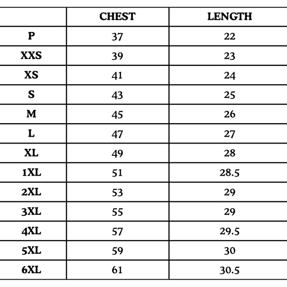 Big Bud Press Organic Vintage Tee - Neoclassical - Picture 2 of 4